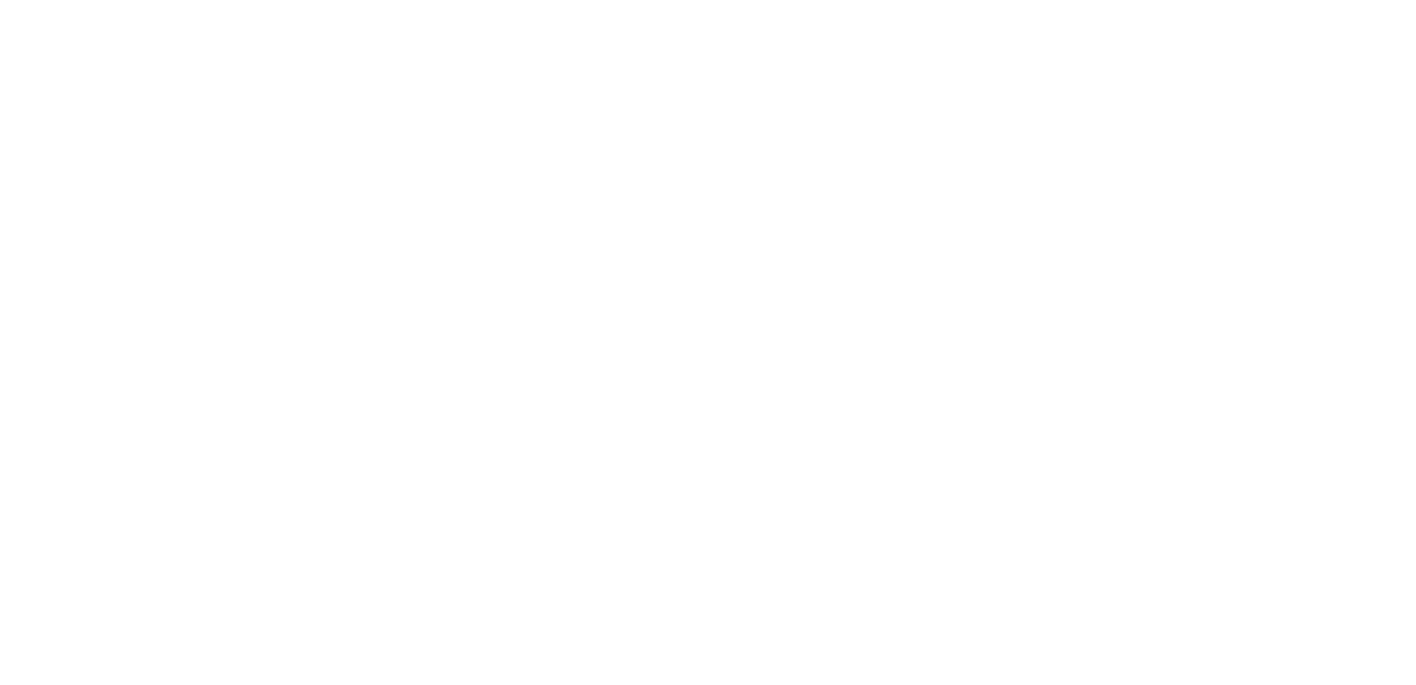 STMNT Styling